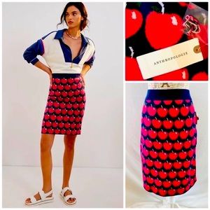 Anthropologie Maeve XS Apple Sweater Skirt